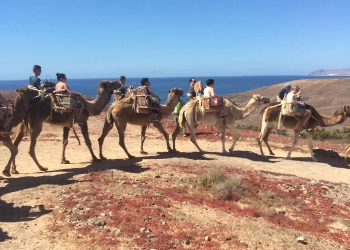 Appartamento Amazing Sea View With Sun Drenched Terrace!