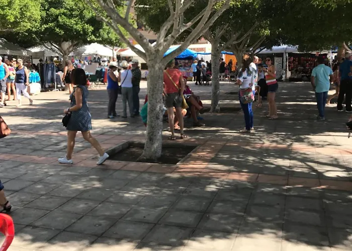 Amazing Sea View With Sun Drenched Terrace! *