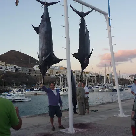 Daire Amazing Sea View With Sun Drenched Terrace!