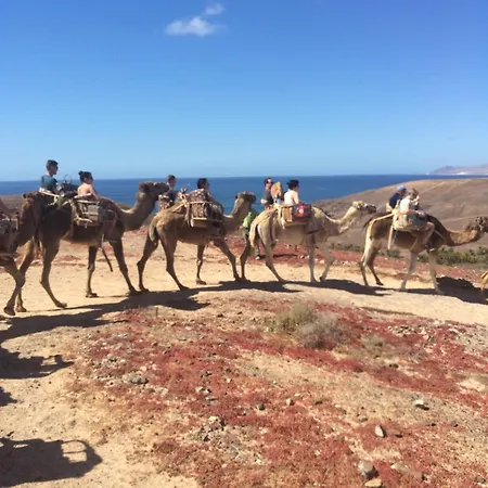 Daire Amazing Sea View With Sun Drenched Terrace!