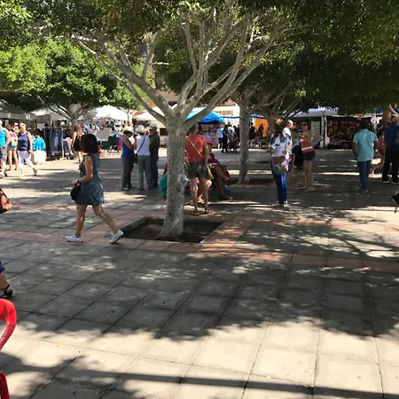 Amazing Sea View With Sun Drenched Terrace! *